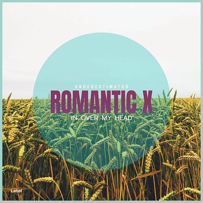 Pre Made Album Cover Swans Down