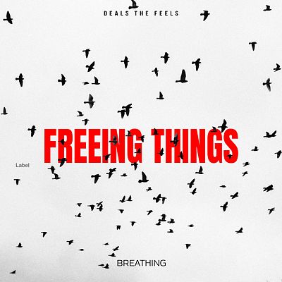 Pre Made Album Cover Seashell