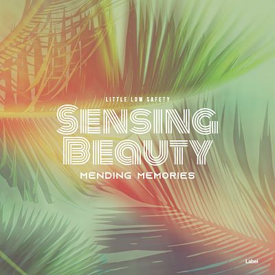 Pre Made Album Cover Donkey Brown