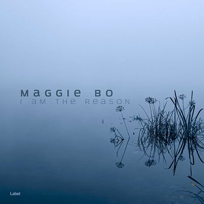 Pre Made Album Cover Polo Blue