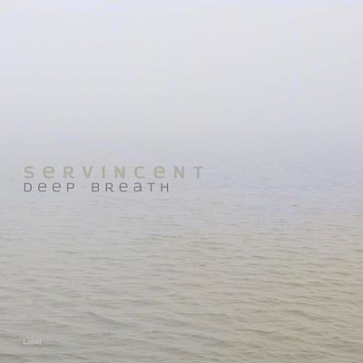 Pre Made Album Cover French Gray