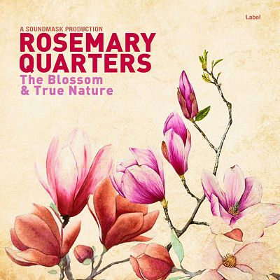 Pre Made Album Cover Sidecar