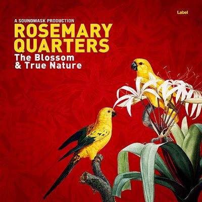 Pre Made Album Cover Totem Pole