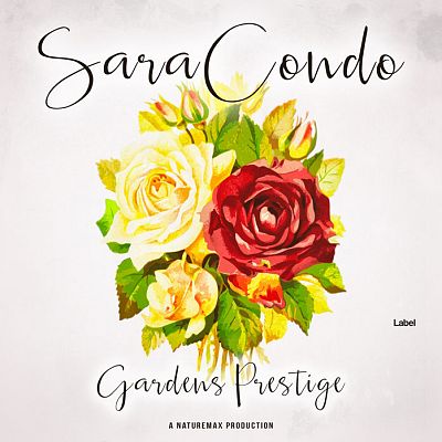 Pre Made Album Cover Pampas