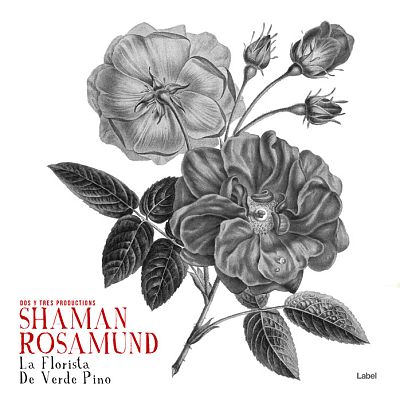 Pre Made Album Cover Gray