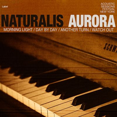 Pre Made Album Cover Dark Ebony