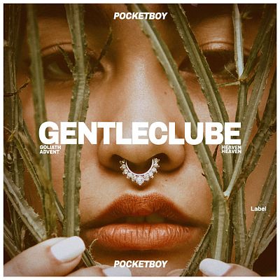 Pre Made Album Cover Dallas