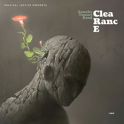 Pre Made Album Cover Fuscous Gray