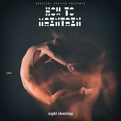 Pre Made Album Cover Shark