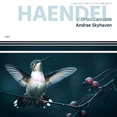 Pre Made Album Cover Firefly