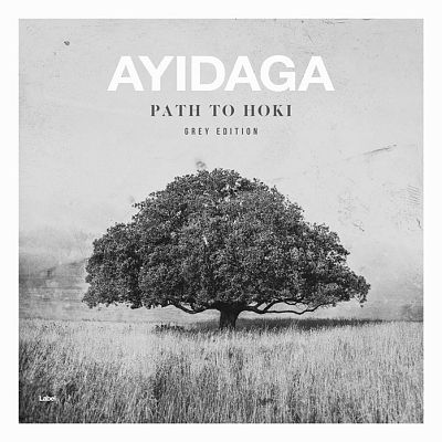 Pre Made Album Cover Silver