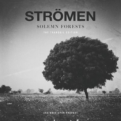 Pre Made Album Cover Silver