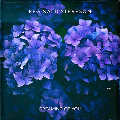 Pre Made Album Cover Blue Whale