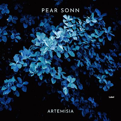 Pre Made Album Cover Black Pearl