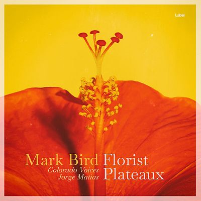 Pre Made Album Cover Ripe Lemon