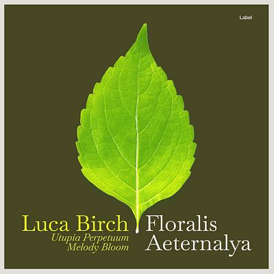 Pre Made Album Cover Lisbon Brown