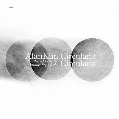 Pre Made Album Cover Silver