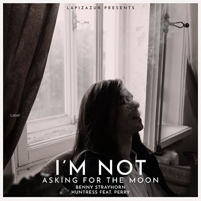 Pre Made Album Cover Silver Rust