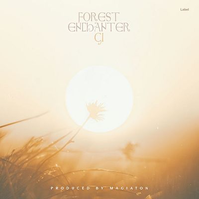 Pre Made Album Cover Twine