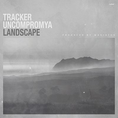 Pre Made Album Cover Silver Chalice