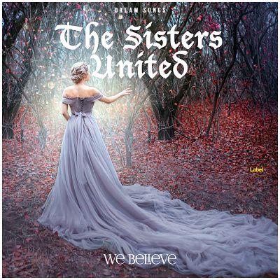 Pre Made Album Cover Salt Box