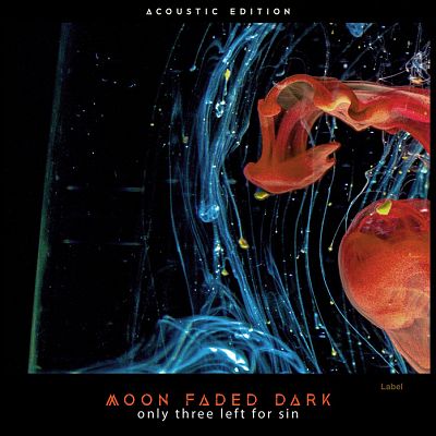 Pre Made Album Cover Brown Rust