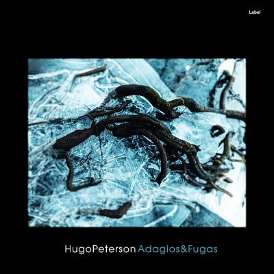 Pre Made Album Cover Bunker