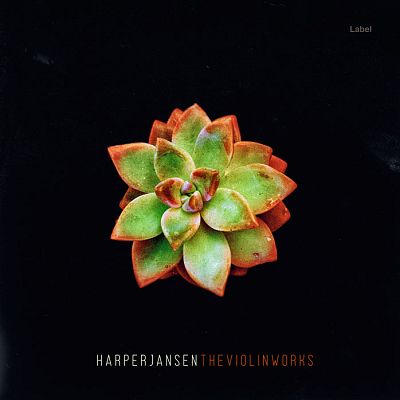 Pre Made Album Cover Driftwood