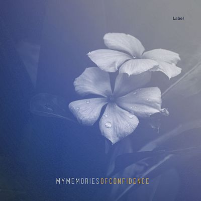 Pre Made Album Cover Waikawa Gray