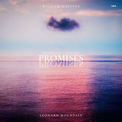 Pre Made Album Cover Pale Slate