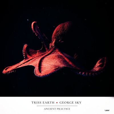 Pre Made Album Cover Cinder