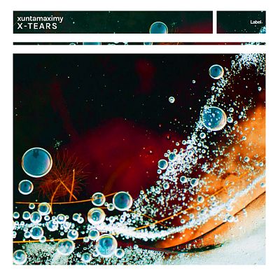 Pre Made Album Cover Pavlova