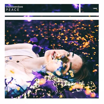 Pre Made Album Cover Ebony Clay