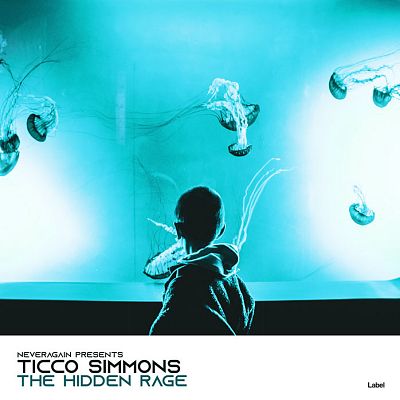 Pre Made Album Cover Humming Bird