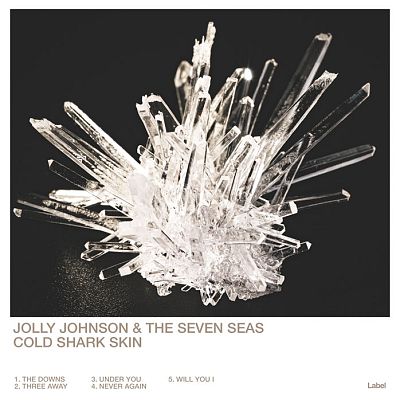 Pre Made Album Cover Tuatara