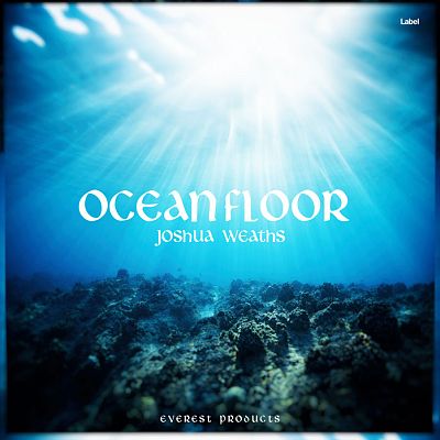 Pre Made Album Cover Elephant