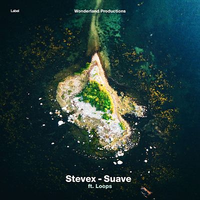 Pre Made Album Cover Firefly