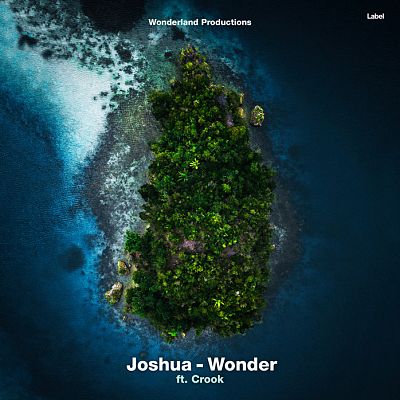 Pre Made Album Cover Firefly