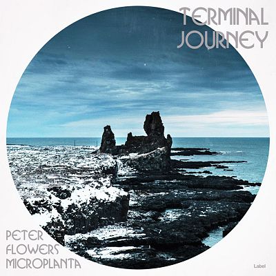 Pre Made Album Cover Pickled Bluewood