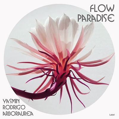 Pre Made Album Cover Bon Jour