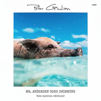 Pre Made Album Cover Curious Blue