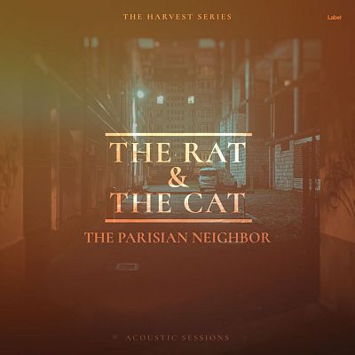 Pre Made Album Cover Old Copper