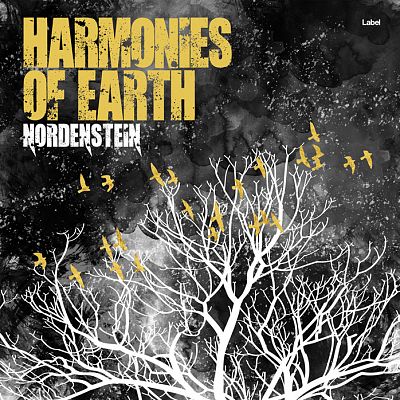 Pre Made Album Cover Tuatara