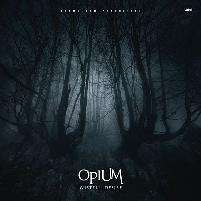 Pre Made Album Cover Bunker