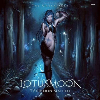 Pre Made Album Cover Steel Gray