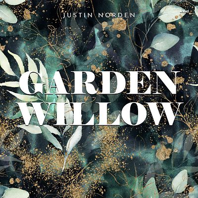 Pre Made Album Cover Outer Space