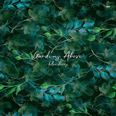 Pre Made Album Cover Bush