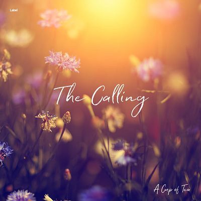 Pre Made Album Cover Santa Fe