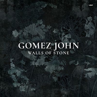 Pre Made Album Cover Shark