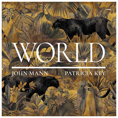 Pre Made Album Cover Yellow Metal